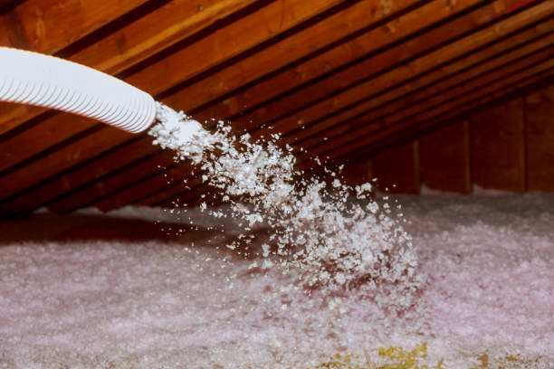 Best Insulation Maintenance and Repair in Wailuku, HI
