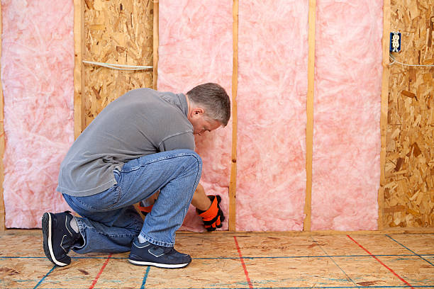 Types of Insulation We Offer in Wailuku, HI